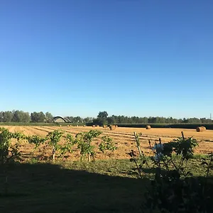 De Carol Bed & Breakfast